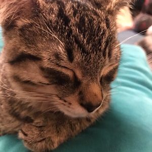 Meet your Posher, Jeff